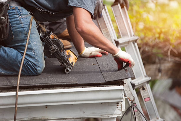 Best Roof Gutter Cleaning  in Joseph City, AZ