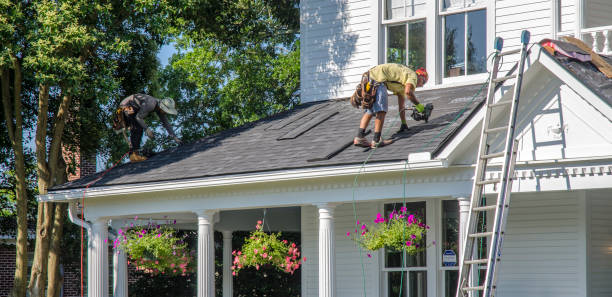 Roof Gutter Cleaning in Joseph City, AZ